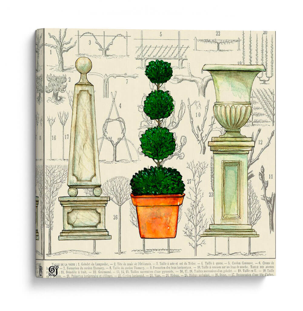 Topiario De Jardín - Ginny Joyner | Cuadro decorativo de Canvas Lab