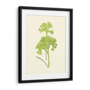 Woodland Ferns Iii - E. J. Lowe | Cuadro decorativo de Canvas Lab