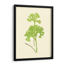 Woodland Ferns Iii - E. J. Lowe | Cuadro decorativo de Canvas Lab