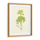 Woodland Ferns Iii - E. J. Lowe | Cuadro decorativo de Canvas Lab