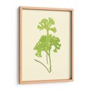 Woodland Ferns Iii - E. J. Lowe | Cuadro decorativo de Canvas Lab