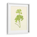 Woodland Ferns Iii - E. J. Lowe | Cuadro decorativo de Canvas Lab