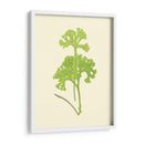 Woodland Ferns Iii - E. J. Lowe | Cuadro decorativo de Canvas Lab