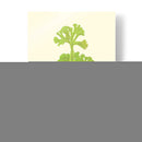 Woodland Ferns Iii - E. J. Lowe | Cuadro decorativo de Canvas Lab