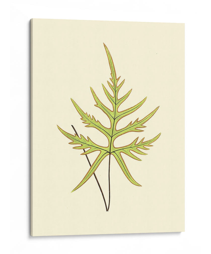 Woodland Ferns Iv - E. J. Lowe | Cuadro decorativo de Canvas Lab