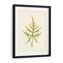 Woodland Ferns Iv - E. J. Lowe | Cuadro decorativo de Canvas Lab