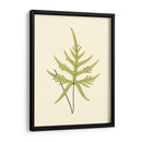 Woodland Ferns Iv - E. J. Lowe | Cuadro decorativo de Canvas Lab