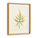 Woodland Ferns Iv - E. J. Lowe | Cuadro decorativo de Canvas Lab
