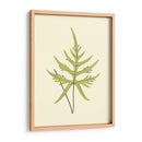 Woodland Ferns Iv - E. J. Lowe | Cuadro decorativo de Canvas Lab