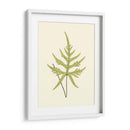 Woodland Ferns Iv - E. J. Lowe | Cuadro decorativo de Canvas Lab