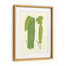 Woodland Ferns Viii - E. J. Lowe | Cuadro decorativo de Canvas Lab