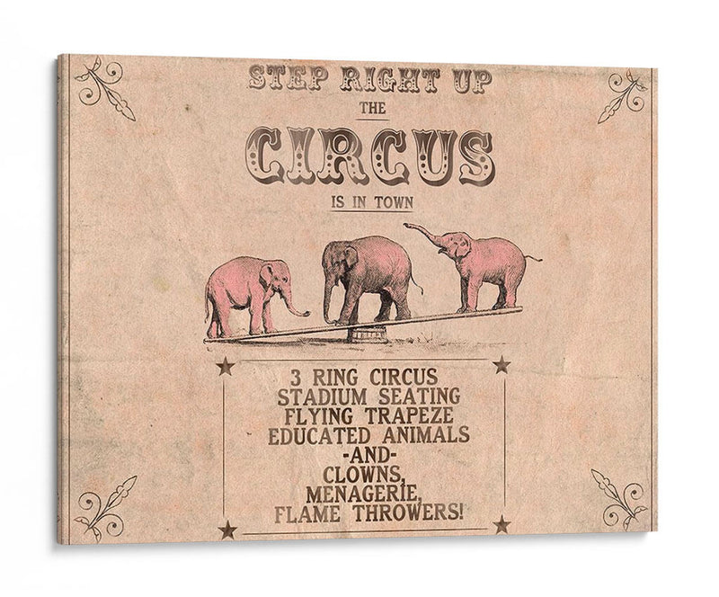 Colección De Circo Vintage A - Grace Popp | Cuadro decorativo de Canvas Lab