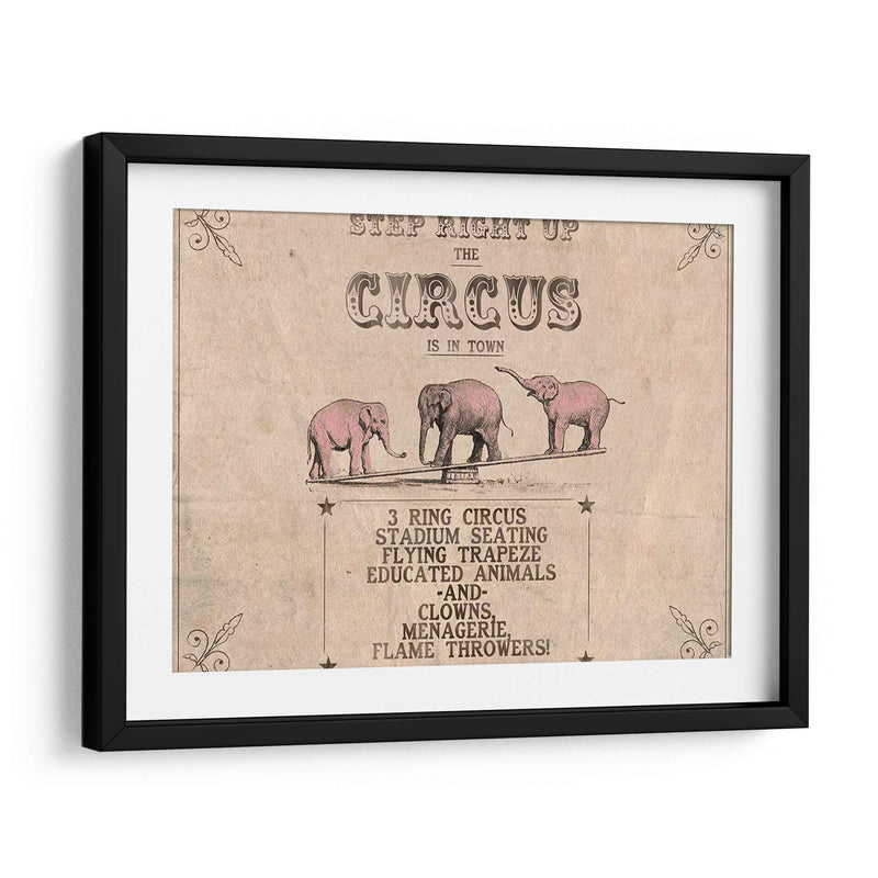 Colección De Circo Vintage A - Grace Popp | Cuadro decorativo de Canvas Lab