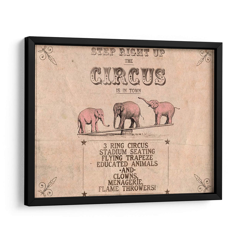 Colección De Circo Vintage A - Grace Popp | Cuadro decorativo de Canvas Lab