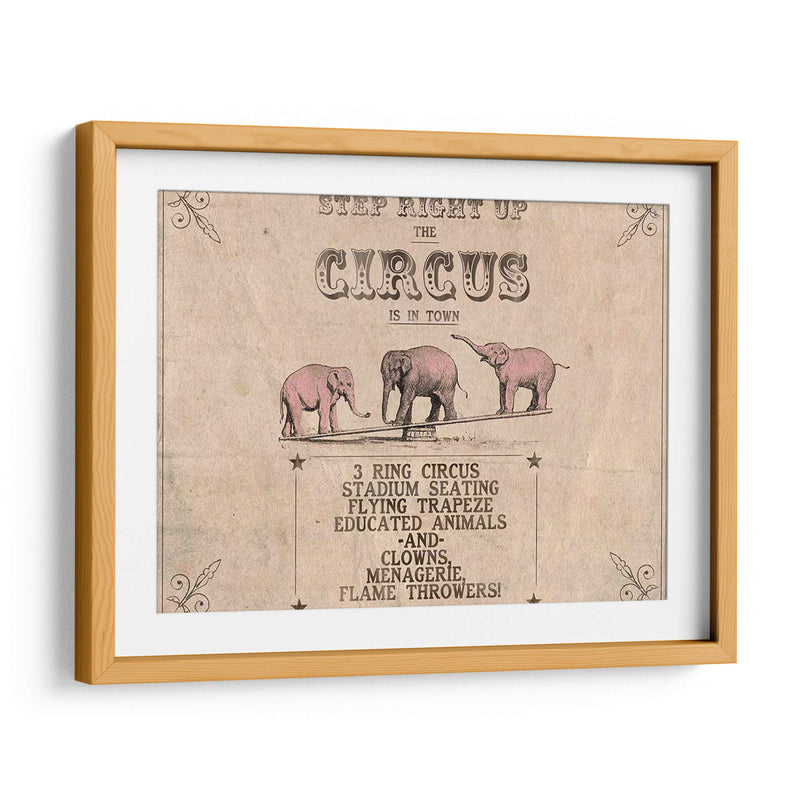 Colección De Circo Vintage A - Grace Popp | Cuadro decorativo de Canvas Lab