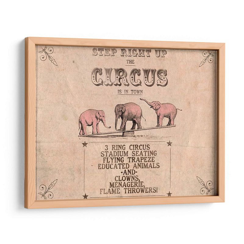 Colección De Circo Vintage A - Grace Popp | Cuadro decorativo de Canvas Lab