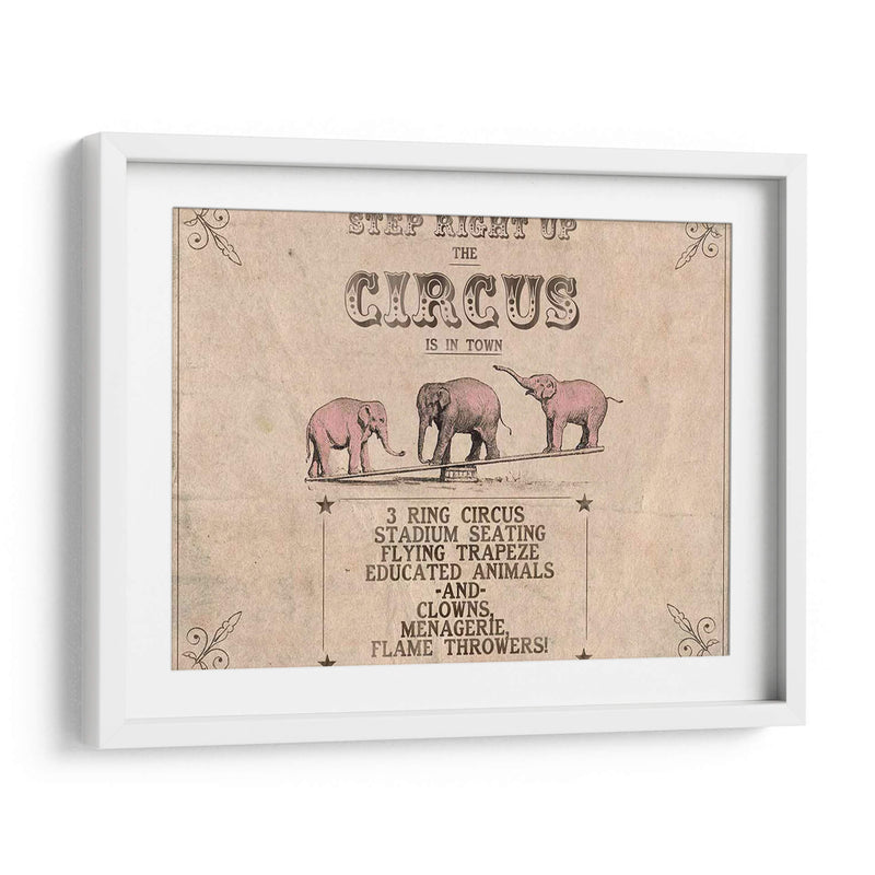 Colección De Circo Vintage A - Grace Popp | Cuadro decorativo de Canvas Lab