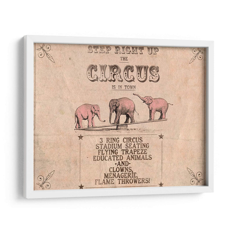 Colección De Circo Vintage A - Grace Popp | Cuadro decorativo de Canvas Lab