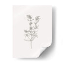 Bosquejo De Follaje Salvaje I - Victoria Borges | Cuadro decorativo de Canvas Lab