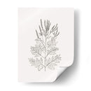 Bosquejo De Follaje Salvaje Ii - Victoria Borges | Cuadro decorativo de Canvas Lab