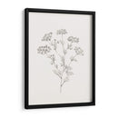 Bosquejo De Follaje Salvaje Iii - Victoria Borges | Cuadro decorativo de Canvas Lab