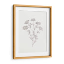 Bosquejo De Follaje Salvaje Iii - Victoria Borges | Cuadro decorativo de Canvas Lab