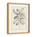 Follaje Antiguo No Adornado Ii - Pierre Josep Buchoz | Cuadro decorativo de Canvas Lab