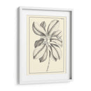 Follaje Antiguo No Adornado Ii - Pierre Josep Buchoz | Cuadro decorativo de Canvas Lab