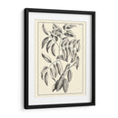 Follaje Antiguo No Adornado Iii - Pierre Josep Buchoz | Cuadro decorativo de Canvas Lab