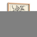 Follaje Antiguo No Adornado Iii - Pierre Josep Buchoz | Cuadro decorativo de Canvas Lab