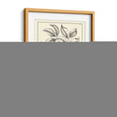 Follaje Antiguo No Adornado V - Pierre Josep Buchoz | Cuadro decorativo de Canvas Lab