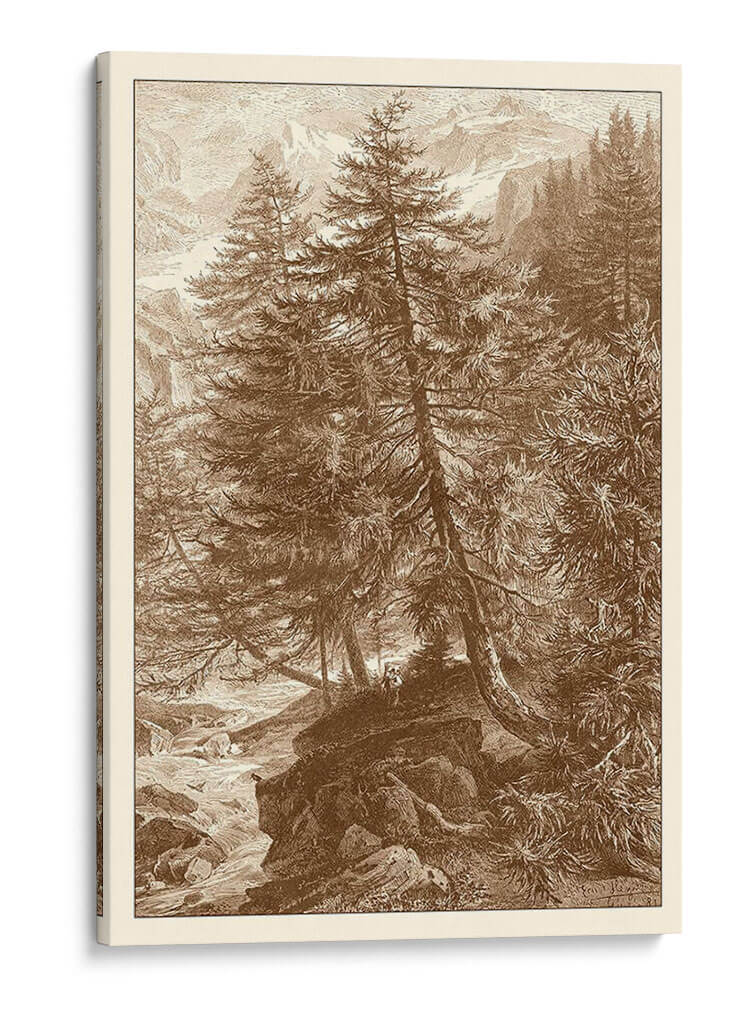 Árbol De Alerce Sepia - Ernst Heyn | Cuadro decorativo de Canvas Lab