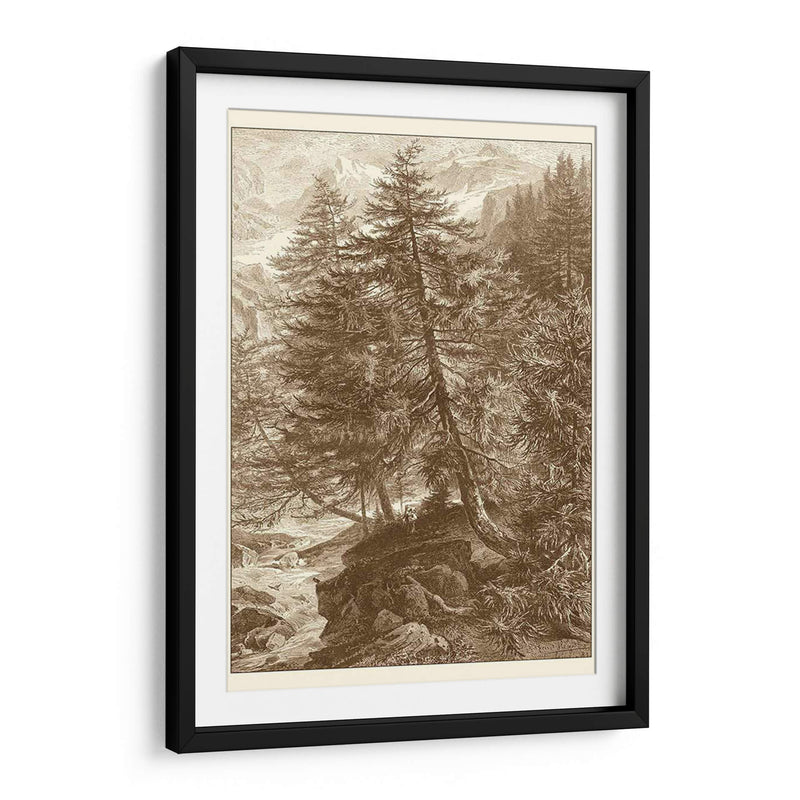 Árbol De Alerce Sepia - Ernst Heyn | Cuadro decorativo de Canvas Lab