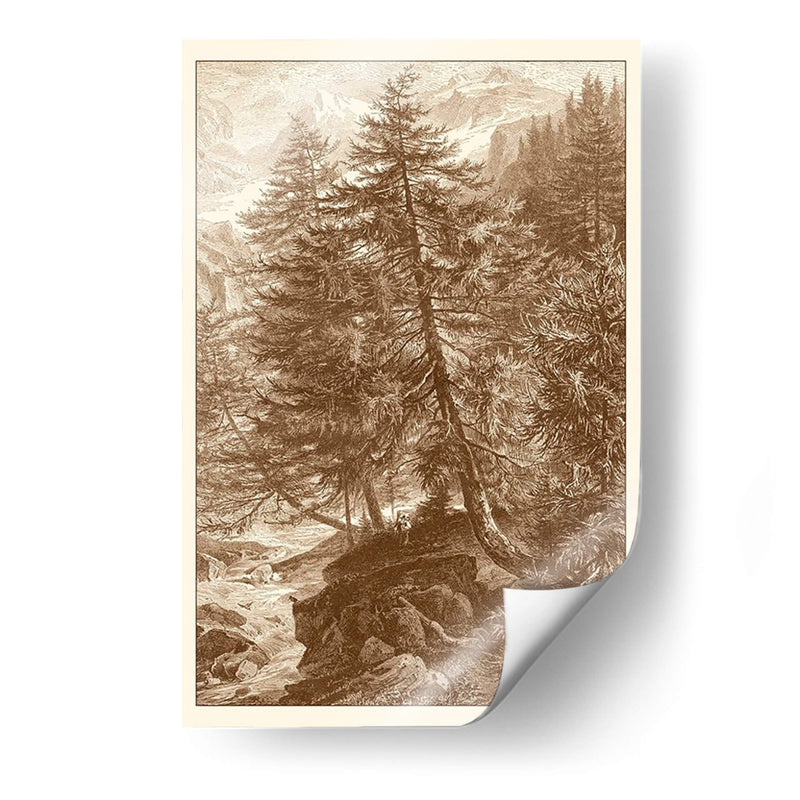 Árbol De Alerce Sepia - Ernst Heyn | Cuadro decorativo de Canvas Lab