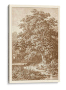 Sepia Oak Tree - Ernst Heyn | Cuadro decorativo de Canvas Lab