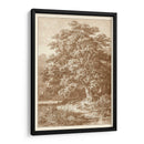 Sepia Oak Tree - Ernst Heyn | Cuadro decorativo de Canvas Lab