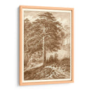 Pino Salvaje Sepia - Ernst Heyn | Cuadro decorativo de Canvas Lab