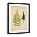 Cottage Helechos I - Lowe | Cuadro decorativo de Canvas Lab