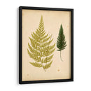 Cottage Helechos I - Lowe | Cuadro decorativo de Canvas Lab