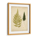 Cottage Helechos I - Lowe | Cuadro decorativo de Canvas Lab