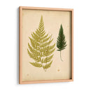 Cottage Helechos I - Lowe | Cuadro decorativo de Canvas Lab