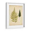 Cottage Helechos I - Lowe | Cuadro decorativo de Canvas Lab