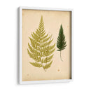 Cottage Helechos I - Lowe | Cuadro decorativo de Canvas Lab