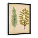Cottage Ferns Ii - Lowe | Cuadro decorativo de Canvas Lab