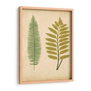 Cottage Ferns Ii - Lowe | Cuadro decorativo de Canvas Lab