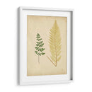 Cottage Ferns Iv - Lowe | Cuadro decorativo de Canvas Lab
