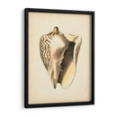 Colección De Sealife I - Vision Studio | Cuadro decorativo de Canvas Lab