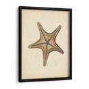 Colección Sealife Iv - Vision Studio | Cuadro decorativo de Canvas Lab