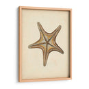 Colección Sealife Iv - Vision Studio | Cuadro decorativo de Canvas Lab