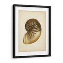 Colección De Sealife V - Vision Studio | Cuadro decorativo de Canvas Lab